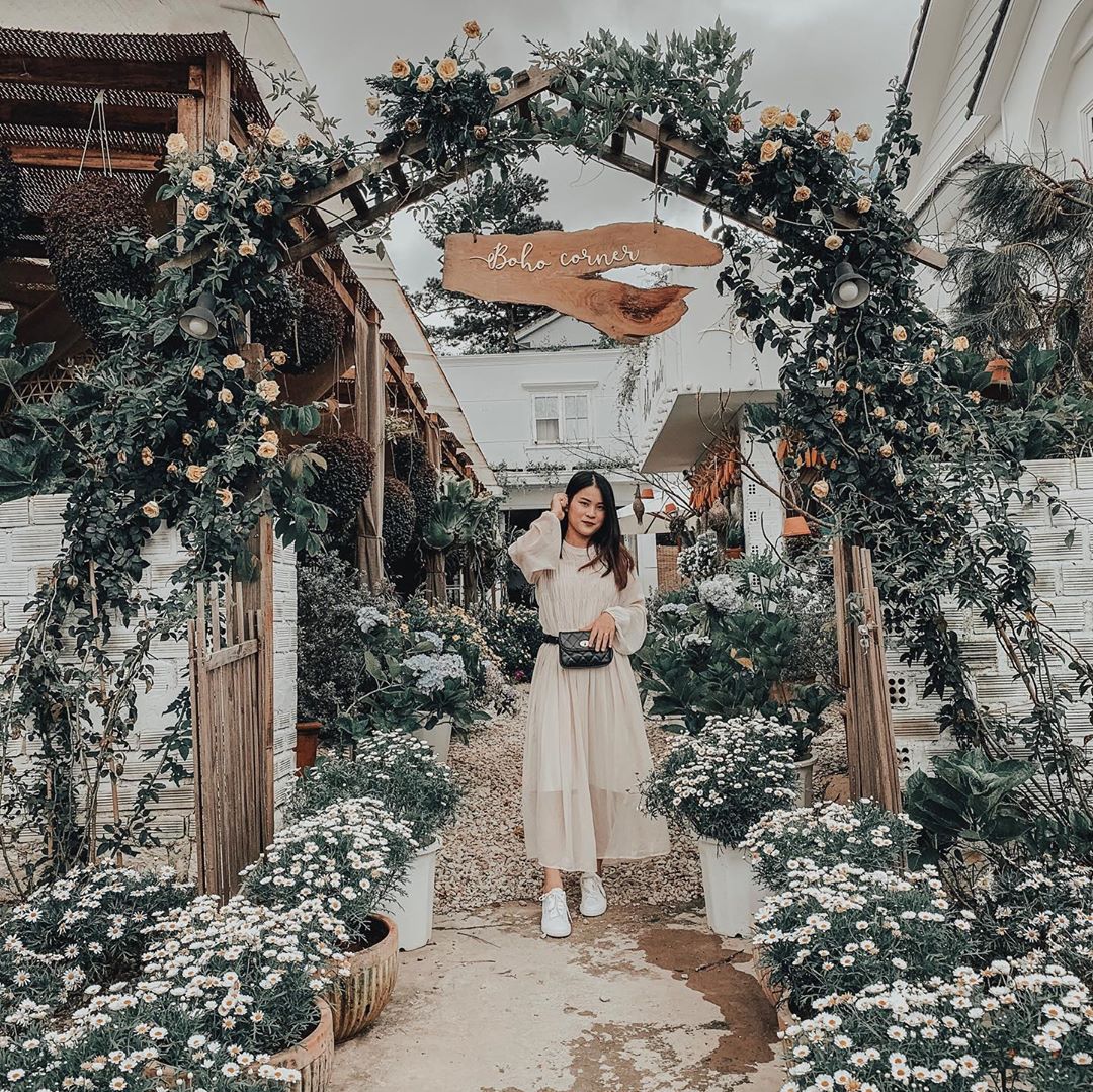 Ảnh: maihoaint