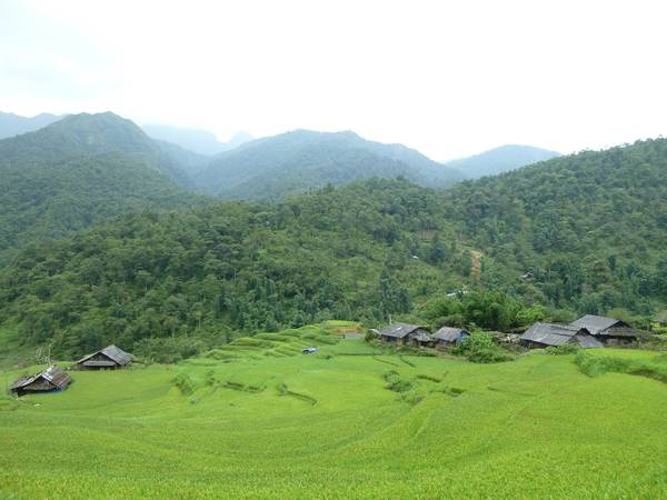 Bản Sín Chải Sapa với vẻ hoang sơ