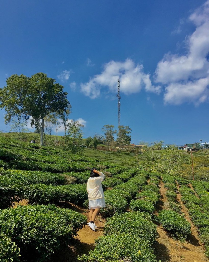 Nhà thờ Con Gà Đà Lạt
