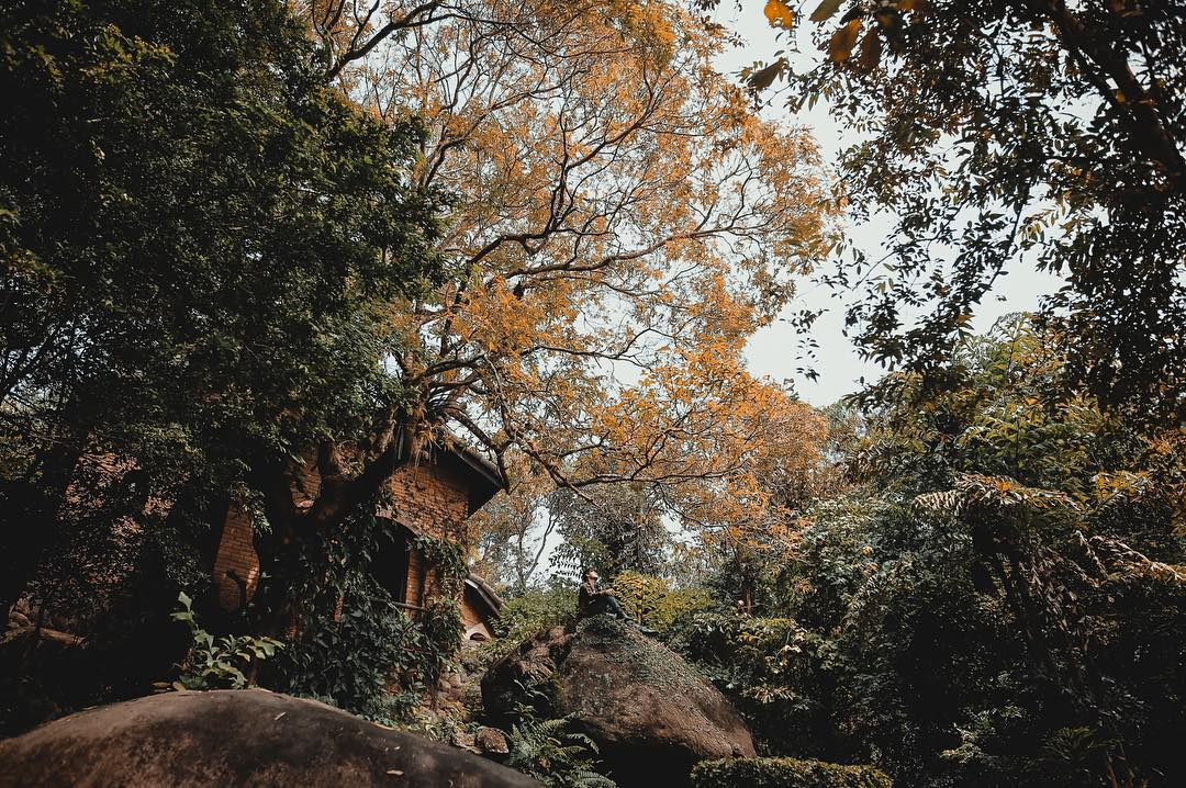 Ảnh: @vietnguyenvisual