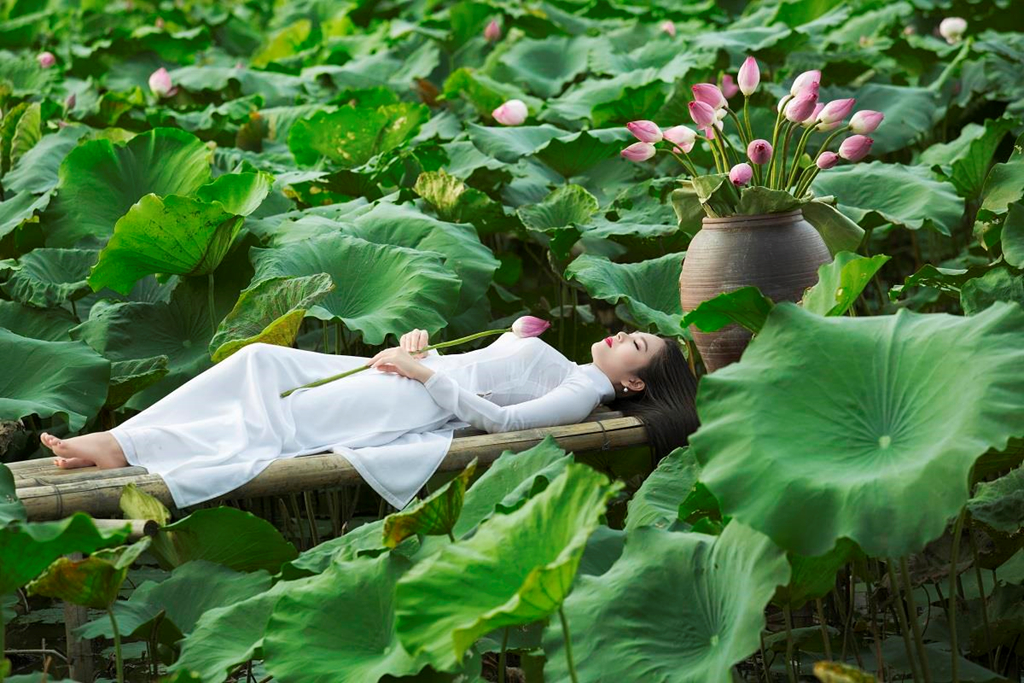 2. Đầm sen Xuân đỉnh: Đầm sen nằm trên đường Xuân Đỉnh, quận Bắc Từ Liêm. Khu vực này khá xa trung tâm nhưng sắc sen không hề kém cạnh đối với các đầm sen khác. Sen nơi đây khoác lên mình vẻ đẹp dịu dàng, không xô bồ, như cô gái đẹp giữa một vùng quê hoang sơ. Nếu có cơ hội ngồi trên chiếc thuyền trôi trên dòng nước, hai bên bờ ngập tràn hương hoa, bạn sẽ cảm thấy thư thái, dễ chịu vô cùng. @duongkimanh.