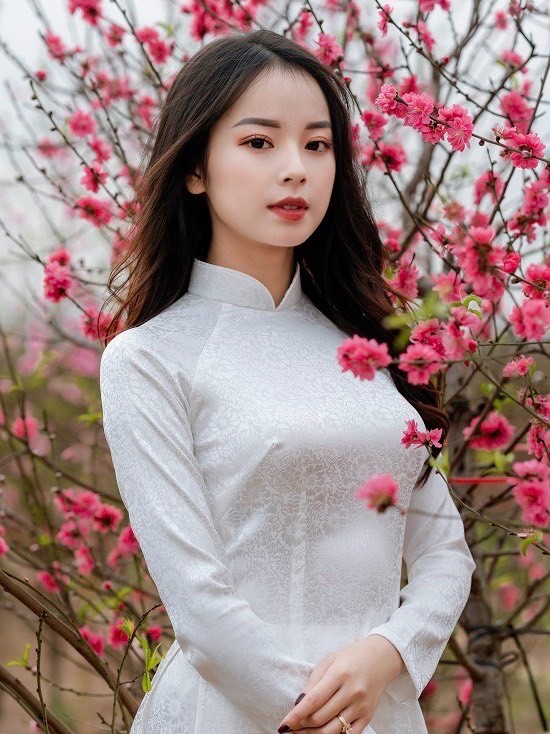 Bạn Ngân Hà tới vườn đào, chụp ảnh Tết trong bộ áo dài truyền thống ngày 11/1. Theo nhiếp ảnh gia Dương Hoàng, vườn đào ở Nhật Tân rộng, có nhiều góc nên dễ chụp ảnh. Ảnh: Dương Hoàng.