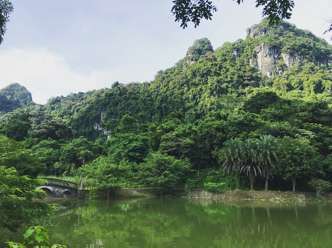 Rừng Cúc Phương được ví như một bảo tàng thiên nhiên rộng lớn với hệ động, thực vật phong phú bậc nhất cả nước. Những điểm tham quan đặc sắc khác mà bạn nên ghé qua là động Người xưa - cây Đăng cổ thụ, cây Chò ngàn năm - động Cung Sơn, cây Sấu cổ thụ - bản Mường, trung tâm cứu hộ thú linh trưởng, đỉnh Mây Bạc hay hồ Yên Quang - động Phò Mã… Ảnh: @skarthik53, @fuwwrr.