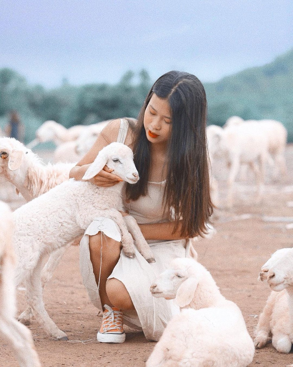 Đồng cừu suối Nghệ (Bà Rịa - Vũng Tàu) thu hút du khách bởi chất du mục hiếm có. Ở đây có 3 đàn cừu với khoảng 500 con được thả mỗi ngày. Khoảng 8-10h và từ 15-16h hàng ngày là thời điểm người dân thả cừu ra đồng. Vào mùa mưa, đàn cừu thong thả gặm cỏ trên nền xanh mướt tạo nên bức tranh phong cảnh yên bình. Điểm đến thú vị này là lựa chọn của nhiều bạn trẻ trong chuyến du lịch Vũng Tàu. Ảnh: Hà Tý, dothuy__.