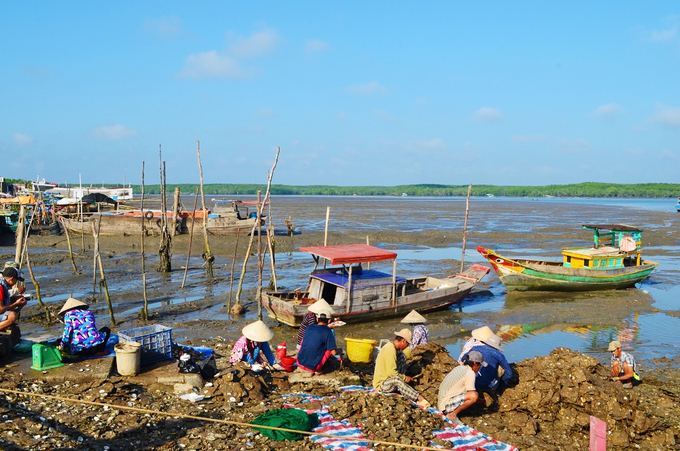 Đảo Thạnh An, Cần Giờ  Tuy thuộc TP HCM, đảo Thạnh An thuộc huyện Cần Giờ cách trung tâm thành phố gần 70 km, khoảng 2 tiếng đi xe máy. Nếu bạn đang tìm địa điểm đi về trong ngày, gần TP HCM mà có khung cảnh thiên nhiên thoáng đãng thì có thể tới xã đảo nhỏ yên bình này. Ảnh: Má Lúm.