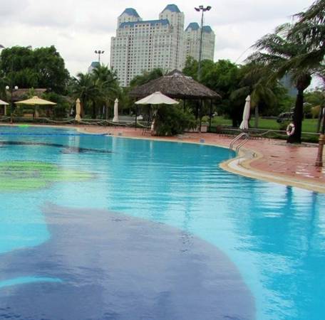 Thời gian lý tưởng để bơi tại Văn Thánh