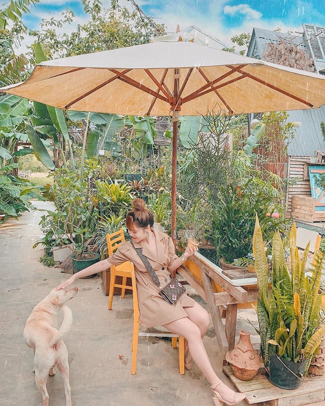 Cul-de-sac homestay Đà Lạt phong cách vintage