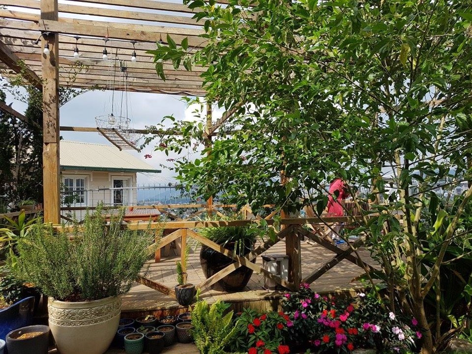 Homestay Đà Lạt Tía Dú với nhiều cửa sổ sắc màu Homestay Đà Lạt Tía Dú với nhiều cửa sổ sắc màu