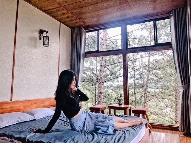 Nomini - homestay phòng kính Đà Lạt giữa rừng thông Nomini - homestay phòng kính Đà Lạt giữa rừng thông