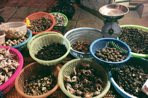 Ốc xào dừa đặc sản Hạ Long
