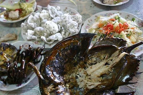 Trong đó hấp dẫn nhất là món sam nướng ăn cùng củ cải ngâm dấm, lạc rang, hành khô, mắm, tỏi, ớt. Ảnh: An Huỳnh.