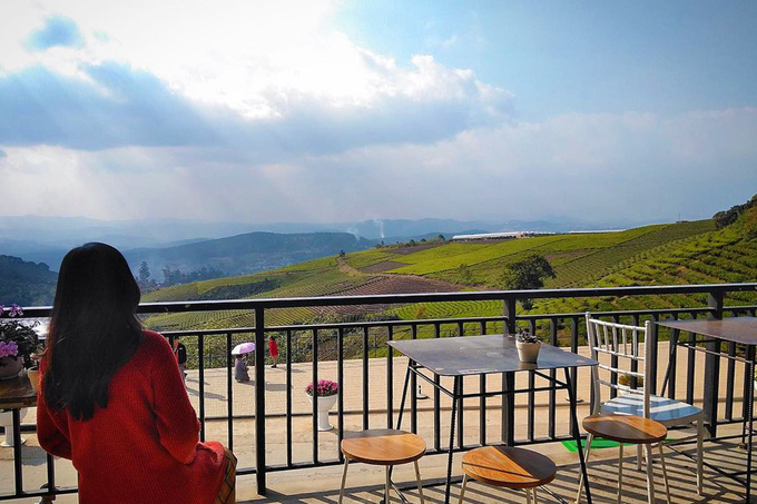 Cầu Đất Farm giữa đồi chè