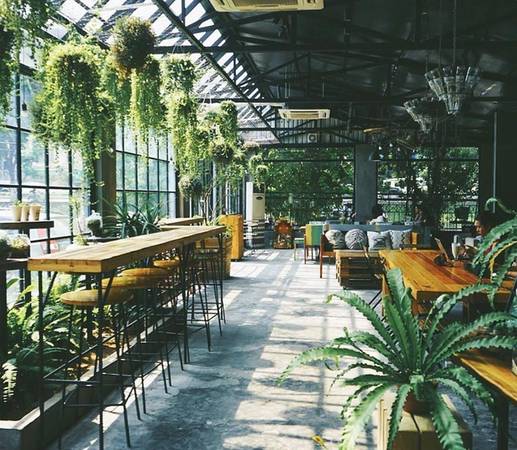 Gardenista - quán cà phê không gian xanh ở Hà Nội Gardenista - quán cà phê không gian xanh ở Hà Nội: Nằm trên con phố Vạn Bảo đông đúc, quán trông na ná một khu vườn kính bởi không gian ngập tràn cây xanh. Bàn ghế màu gỗ và tường xám xi măng tạo sự nhẹ nhàng, thoải mái, trên bàn luôn đặt nhiều chậu cây xinh xắn. Quán rất đông khách nên có thể bạn phải đợi khá lâu sau khi gọi đồ uống. Địa chỉ: số 50 Vạn Bảo, quận Ba Đình.