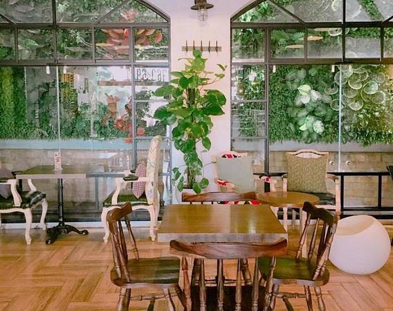 Cora Cafe: Quán có diện tích khá lớn, gồm 2 tầng, không gian thoáng đãng với những ô cửa lớn khiến nơi đây lúc nào cũng tràn ngập ánh sáng. Những thảm cỏ xanh độc đáo trên tường, cây đặt ở nhều góc, cầu thang gỗ tạo hình xoắn ốc nối giữa 2 tầng… là điểm thú vị của không gian nơi đây. Ngoài ra, quán còn có nhiều bức tranh tường theo nghệ thuật Typography đầy sáng tạo. Địa chỉ: 24 Hòa Mã. Ảnh: Cora Cafe.