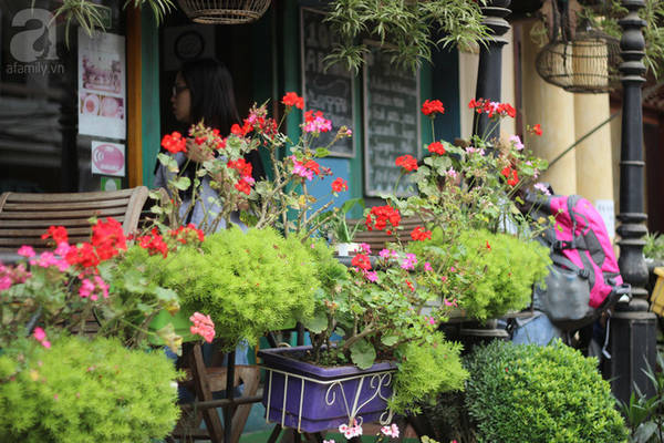 5-quan-cafe-rat-xinh-ma-view-tuyet-dep-nhat-dinh-nen-ghe-khi-den-sa-pa-ivivu-21 5-quan-cafe-rat-xinh-ma-view-tuyet-dep-nhat-dinh-nen-ghe-khi-den-sa-pa-ivivu-21