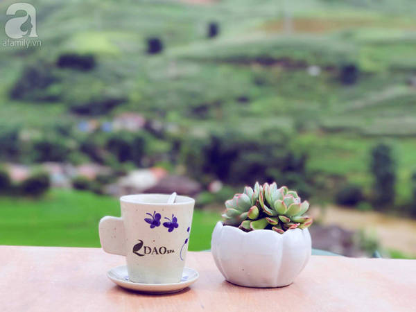 5-quan-cafe-rat-xinh-ma-view-tuyet-dep-nhat-dinh-nen-ghe-khi-den-sa-pa-ivivu-30 5-quan-cafe-rat-xinh-ma-view-tuyet-dep-nhat-dinh-nen-ghe-khi-den-sa-pa-ivivu-30
