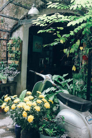 Không gian bên trong quán cafe trong ngõ Nhà 41