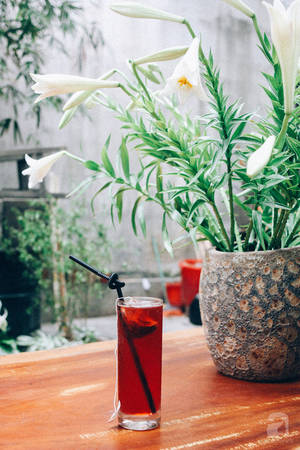 Không gian mộc mạc quán cafe trong ngõ Nhà 41