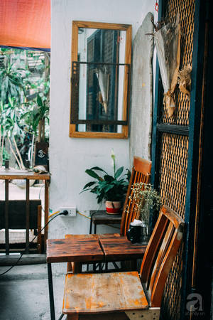 5-quan-cafe-trong-ngo-de-tim-tinh-lang-va-yen-binh-cho-nhung-ngay-cuoi-ha-ivivu-41