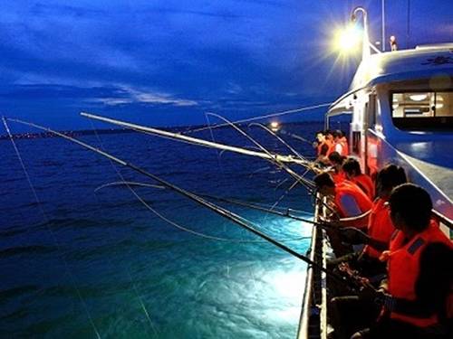 Câu mực đêm khi du lịch Phan Thiết: Tàu câu mực thường xuất phát lúc 5h chiều tại làng chài, chạy 30 phút ra biển và dừng lại ở các điểm có nhiều mực để du khách trải nghiệm như ngư dân địa phương.