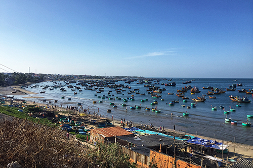 Thăm làng chài sáng sớm trải nghiệm Mũi Né