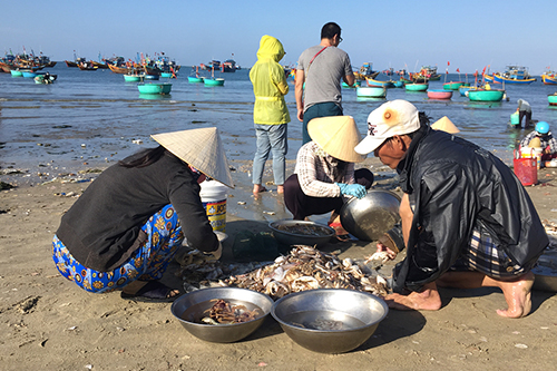 Chợ Mũi Né nhộn nhịp vào bình minh