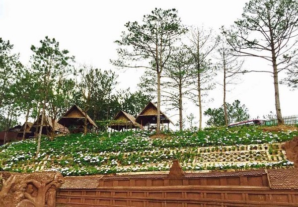 Làng đất sét  Ít được biết đến hơn là khu vườn cẩm tú cầu nhỏ xinh trong Làng đất sét - Đường hầm điêu khắc. Hoa được trồng ở một số lối đi và khu vực tường đất sét, tạo thành một thảm hoa đầy màu sắc. Tại đây, các công trình kiến trúc và văn hóa độc đáo như ga xe lửa, dinh Bảo Đại, Viện Pasteur, Đại học Đà Lạt, Khách sạn Palace, nhà thờ Con Gà, chùa Linh Sơn, hồ Xuân Hương, chợ Đà Lạt... đều tái hiện công phu trên chất liệu đất sét. Ảnh: 199xkizz.