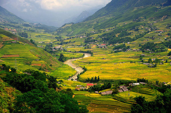 Sa Pa bước vào mùa lúa chín.