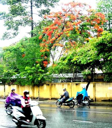 Mưa Sài Gòn - đặc trưng thời tiết khi du lịch Sài Gòn