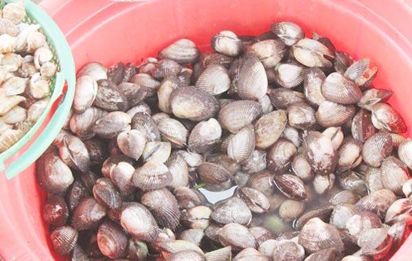 Sò huyết