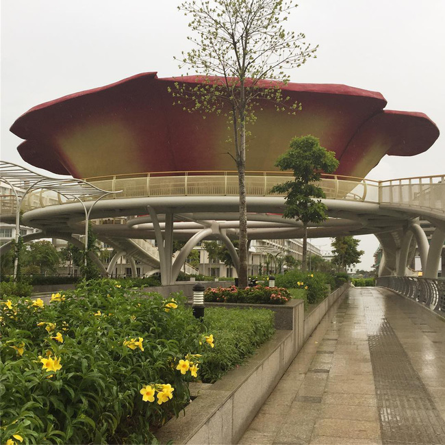 Góc sống ảo Sala Park