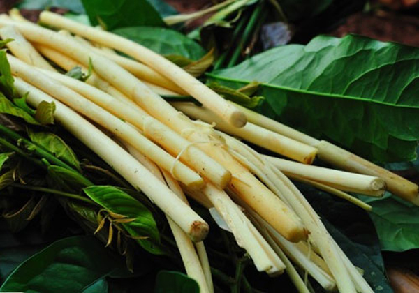 6-dac-san-an-mot-lan-nho-mai-o-binh-phuoc-ivivu-5 6-dac-san-an-mot-lan-nho-mai-o-binh-phuoc-ivivu-5