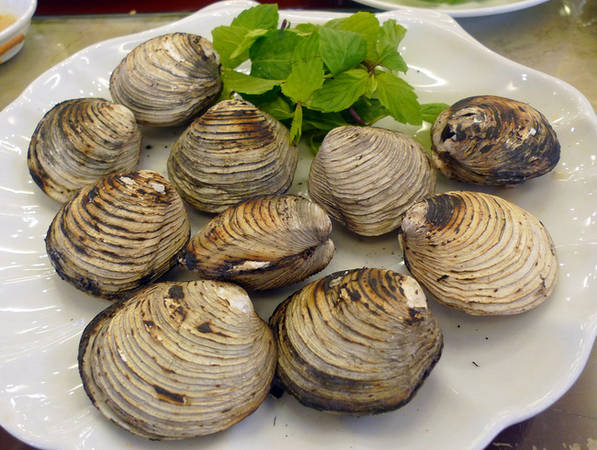 Con ngán đặc sản Hạ Long
