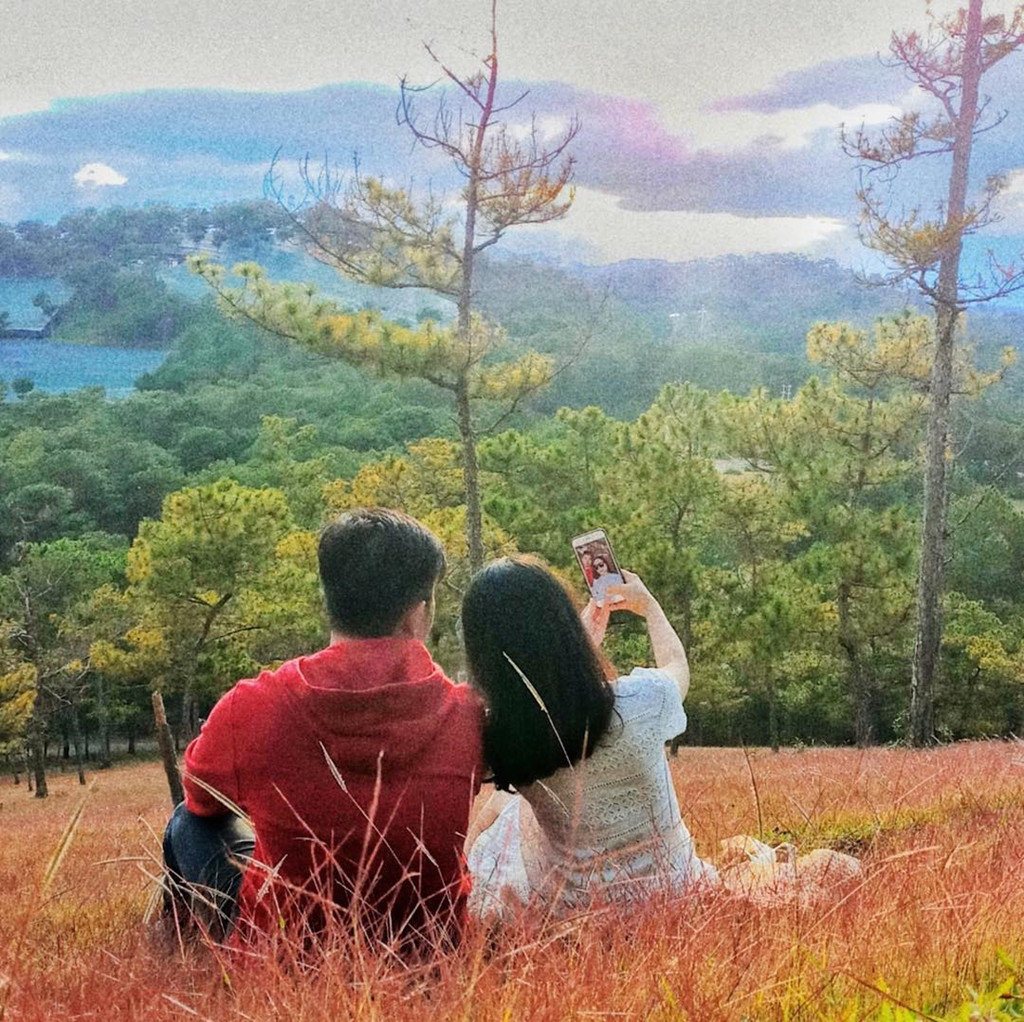 Rừng thông Đà Lạt - điểm chụp ảnh cặp đôi Đà Lạt