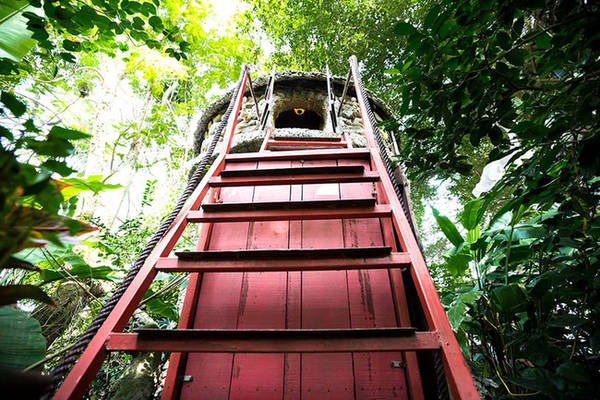 Nhà trên cây độc đáo tại homestay Hà Nội