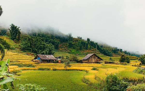 Khung cảnh lãng mạn khi du lịch Sapa
