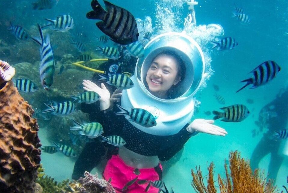 Với hệ sinh thái biển nguyên sơ và đa dạng, bạn đừng quên tham gia hành trình lặn biển thú vị nếu tới Phú Quốc. Chuyến lặn biển sẽ giúp du khách chiêm ngưỡng Phú Quốc ở một góc nhìn khác lạ với các dãy san hô rực rỡ và nhiều sinh vật độc đáo. Bạn có thể lựa chọn lặn biển bằng ống thở, bình dưỡng khí hoặc đi bộ dưới biển với giá khoảng từ 300.000-1,4 triệu đồng. Ảnh: Seaworldvn.