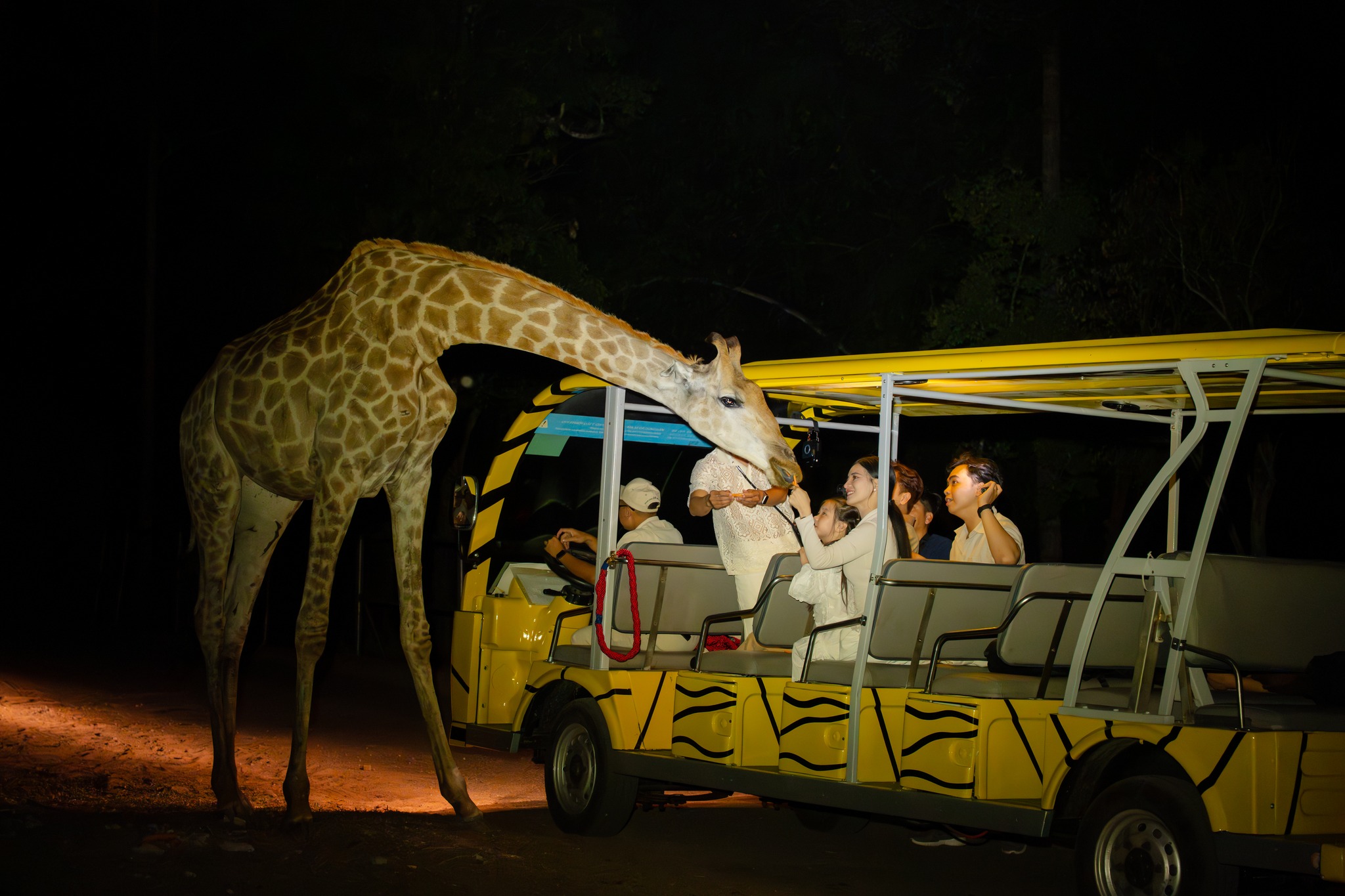 Trải nghiệm phiêu lưu đêm giữa rừng sâu ở VinWonders và Safari Phú Quốc