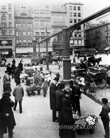 Chợ hoa tấp nập tại New York một thế kỷ trước