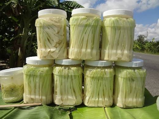 Bồn bồn Cà Mau đặc sản tươi ngon Bồn bồn Cà Mau đặc sản tươi ngon