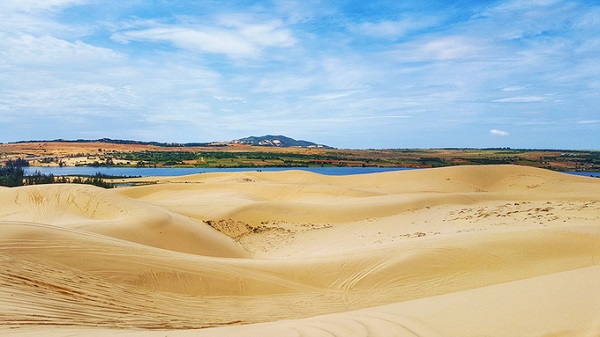 Bàu Trắng - Tiểu Sahara du lịch Phan Thiết Tết