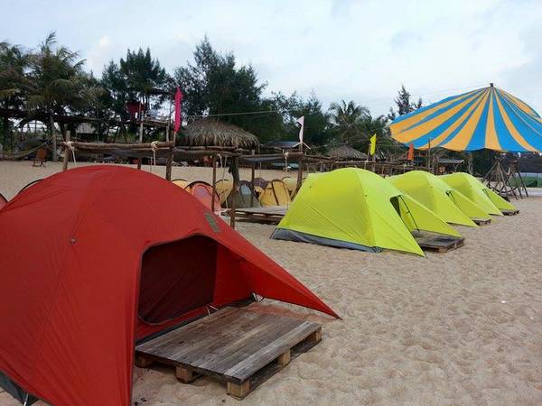 Đa dạng về màu sắc và kiểu dáng