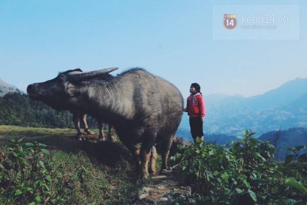 Cuộc sống khó khăn...