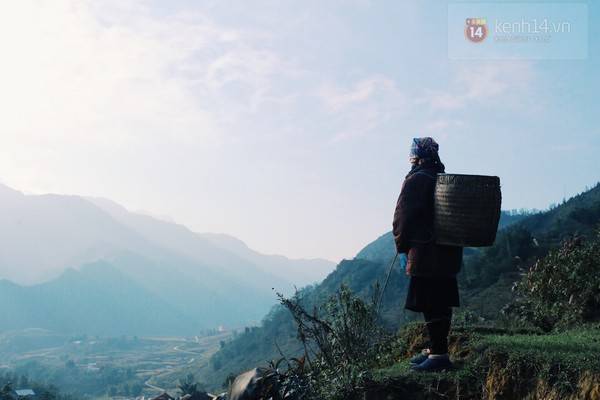 Một cảnh vật mang tông màu buồn nhưng chẳng hề thiếu chất thơ.