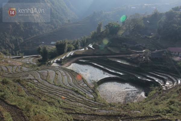 Một cảnh vật mang tông màu buồn nhưng chẳng hề thiếu chất thơ.