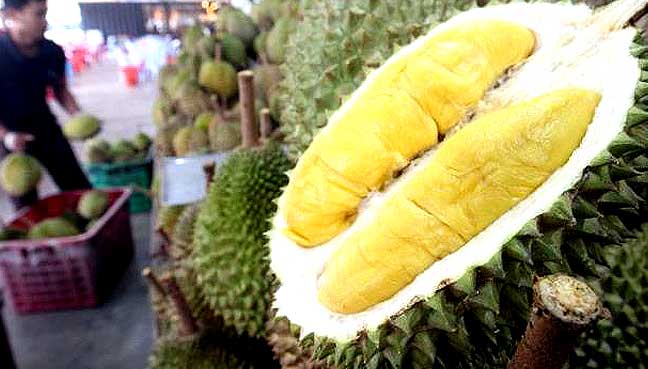 Điều thú vị là ở Singapore, có nhiều của hàng bán sầu riêng ăn tại chỗ. Xung quanh chỗ bán có bày biện cả bàn ghế, bao tay nilon cho khách sử dụng. Khách đến ăn sau khi chọn được quả ưng ý, chỉ việc ngồi vào bàn, nhân viên sẽ bổ sầu và mang đến tận nơi.