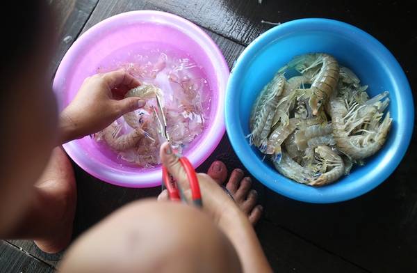 Bề bề món ngon khi du lịch Phú Quốc