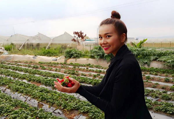 Siêu mẫu Thanh Hằng hào hứng đi hái dâu khi đến Đà Lạt.