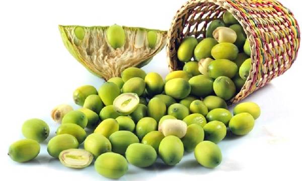 Hạt sen Huế - đặc sản Huế chất lượng cao