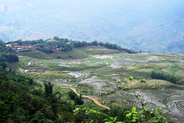 Ruộng bậc thang Thề Pả rộng 233 ha thuộc hai xã Y Tý và Ngải Thầu trên đường phượt Bát Xát, do đồng bào H’Mông và Hà Nhì tạo nên. Mùa nước đổ tháng 4-5 và mùa lúa chín tháng 9-10 là thời điểm đẹp nhất. Ảnh: Hương Chi.